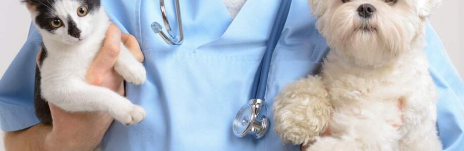 Ways To Avoid Unwanted Diseases For Your Pets